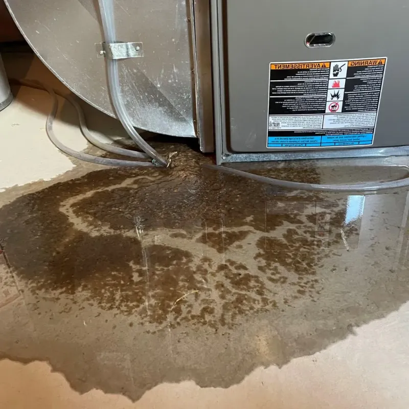 Pipe Burst and Leak Restoration in Kenai Peninsula Borough, AK