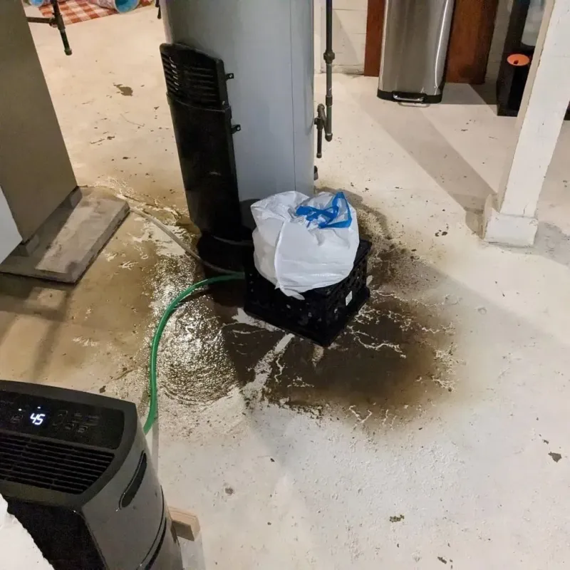 Sewage Backup Cleanup Service in Kenai Peninsula Borough, AK